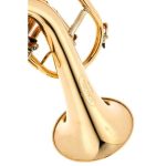Schagerl Killerqueen "Z" Flugelhorn UL - imagine 9