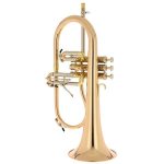 Schagerl "AGLAEA" Bb- Flugelhorn L - imagine 2