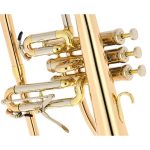 Schagerl "AGLAEA" Bb- Flugelhorn L - imagine 4