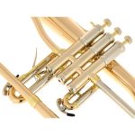 Schagerl "AGLAEA" Bb- Flugelhorn L - imagine 5
