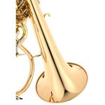 Schagerl "AGLAEA" Bb- Flugelhorn L - imagine 10