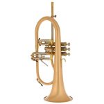 Schagerl "AGLAEA" Bb- Flugelhorn - imagine 2