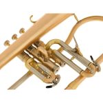 Schagerl "AGLAEA" Bb- Flugelhorn - imagine 6
