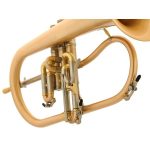 Schagerl "AGLAEA" Bb- Flugelhorn - imagine 8