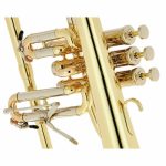Schagerl Dione Flugelhorn - imagine 4
