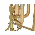 Schagerl Bass Trombone Aurora - imagine 8
