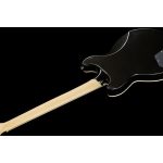 D'Angelico Premier Brighton Black Flake - imagine 8
