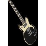 D'Angelico Premier Brighton Black Flake - imagine 10