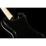 D'Angelico Premier Brighton Black Flake - imagine 12