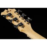 D'Angelico Premier Brighton Black Flake - imagine 16