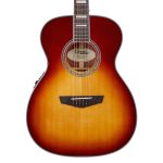 D'Angelico Premier Tammany Iced Tea Burst - imagine 2