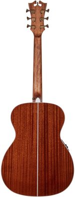 D'Angelico Premier Tammany Iced Tea Burst - imagine 6