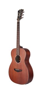 D'Angelico Premier Tammany LS Mahogany Satin - imagine 4