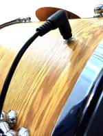 Toba taraneasca cu electro-acustica - imagine 4