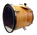 Toba taraneasca cu electro-acustica