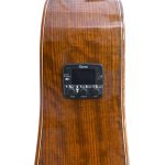 Chitara electro-acustica Orlando Instruments - imagine 3