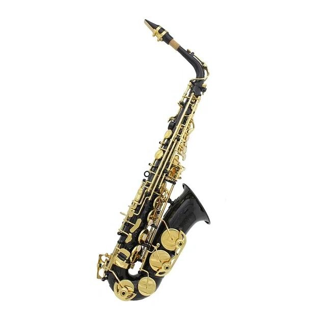 ps-products-25590-77497 Saxofon alto Denver ALT30 BK - imagine 1