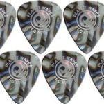 Set of Planet Waves 1CAB6-10 picks, Heavy