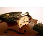 Doza vioara Barbera 5 Twin Hybrid - imagine 3