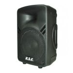 Boxa pasiva DSE PA082NA - 150W - imagine 2