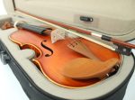 Pamel Violin OV1100 4/4 - imagine 6