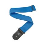 Planet Waves PWS 102