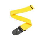 Planet Waves PWS 110