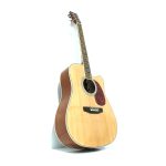 Pamel Guitar FG068C - imagine 2
