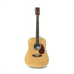 Pamel Guitar FG068