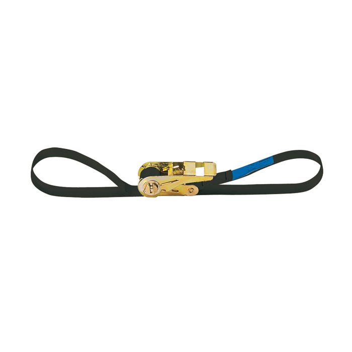 ps-products-7549-14514 Adam Hall SR 252 - Chinga cu clichet 25 mm - 4 m - imagine 1